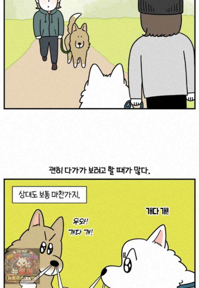 극한견주 시즌2 148화 새로운 산책 훈련 3