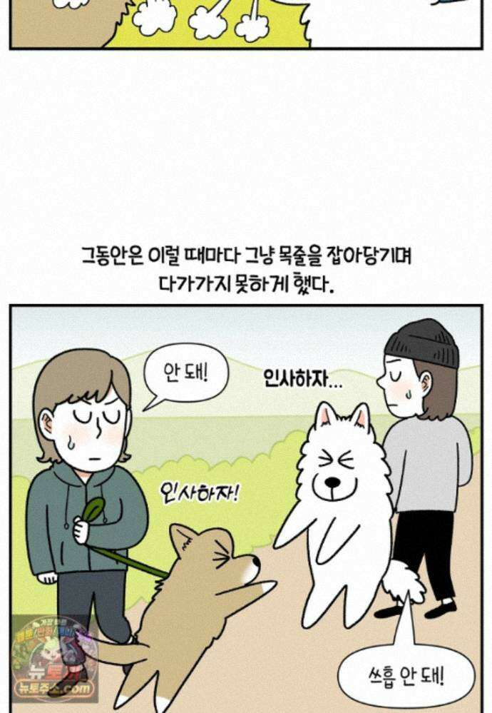 극한견주 시즌2 148화 새로운 산책 훈련 4