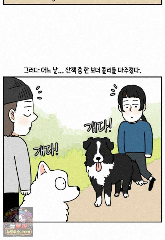 극한견주 시즌2 148화 새로운 산책 훈련 5