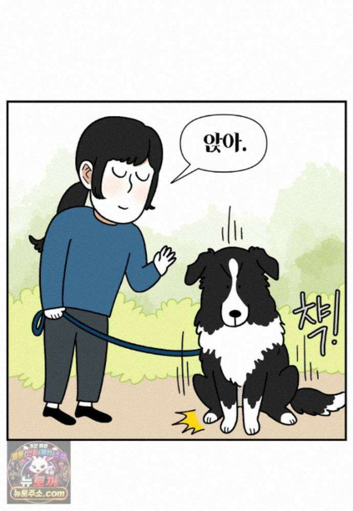 극한견주 시즌2 148화 새로운 산책 훈련 6