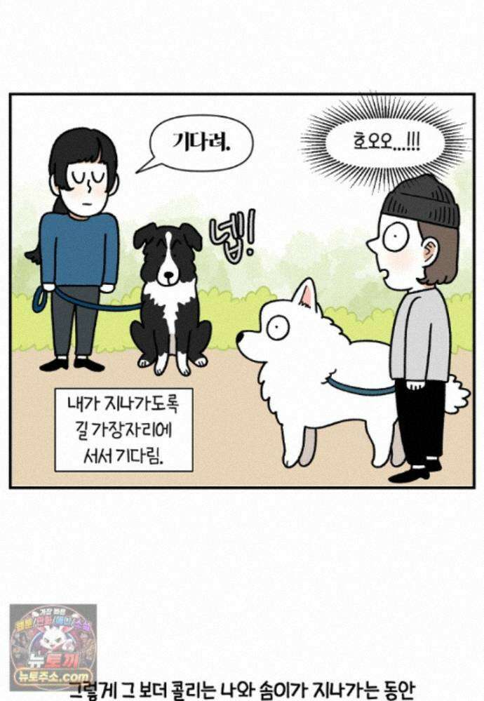 극한견주 시즌2 148화 새로운 산책 훈련 7