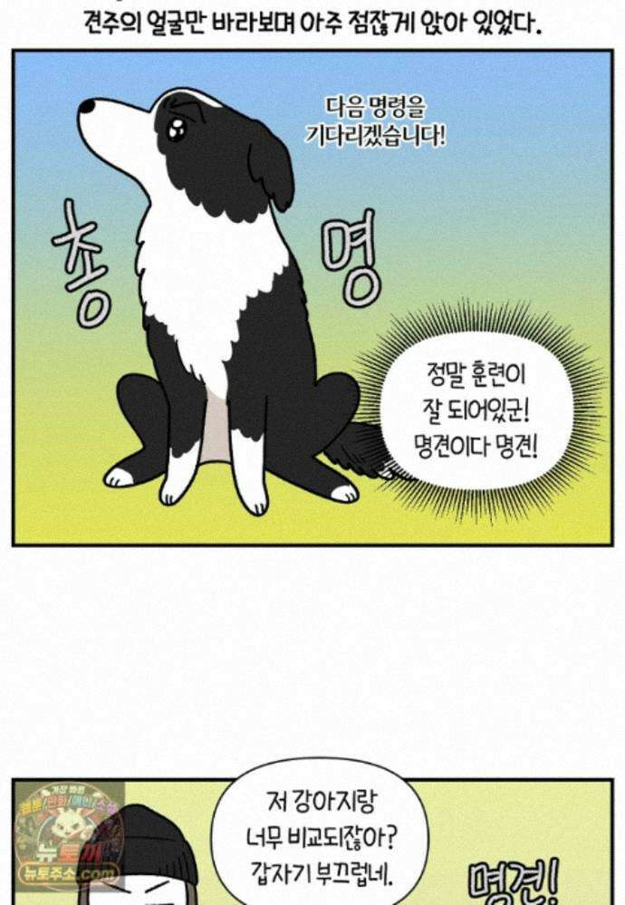 극한견주 시즌2 148화 새로운 산책 훈련 8