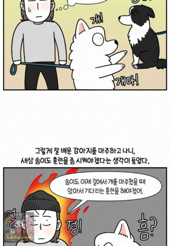 극한견주 시즌2 148화 새로운 산책 훈련 9