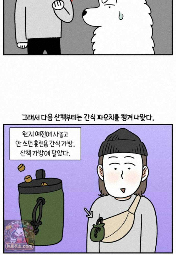 극한견주 시즌2 148화 새로운 산책 훈련 10
