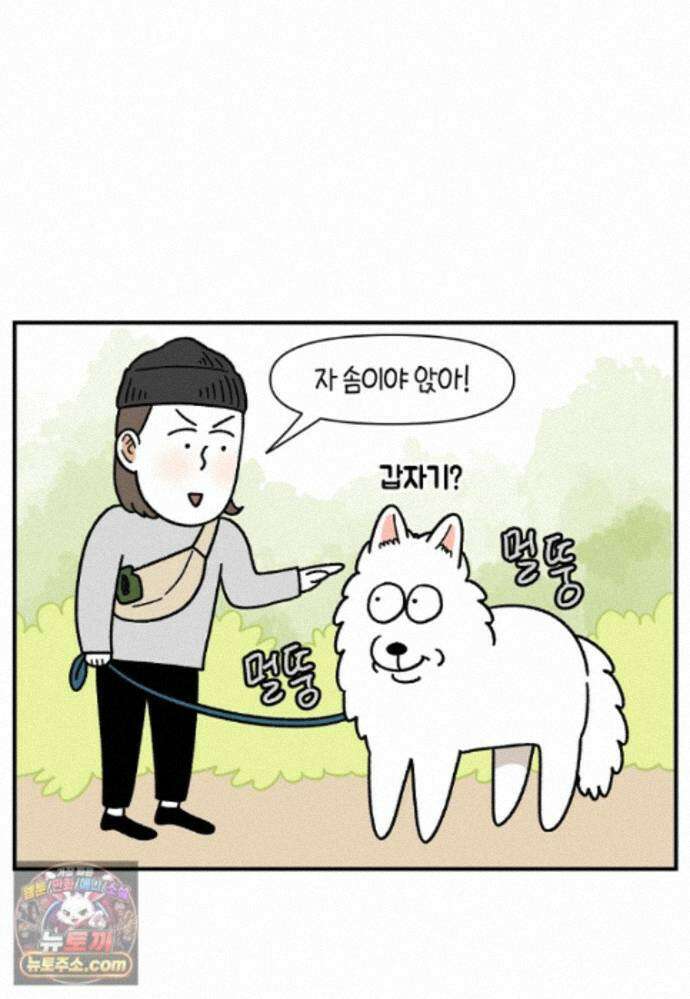 극한견주 시즌2 148화 새로운 산책 훈련 11