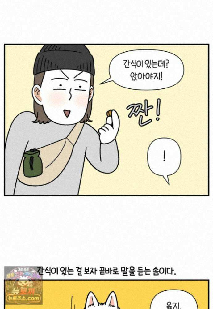 극한견주 시즌2 148화 새로운 산책 훈련 12
