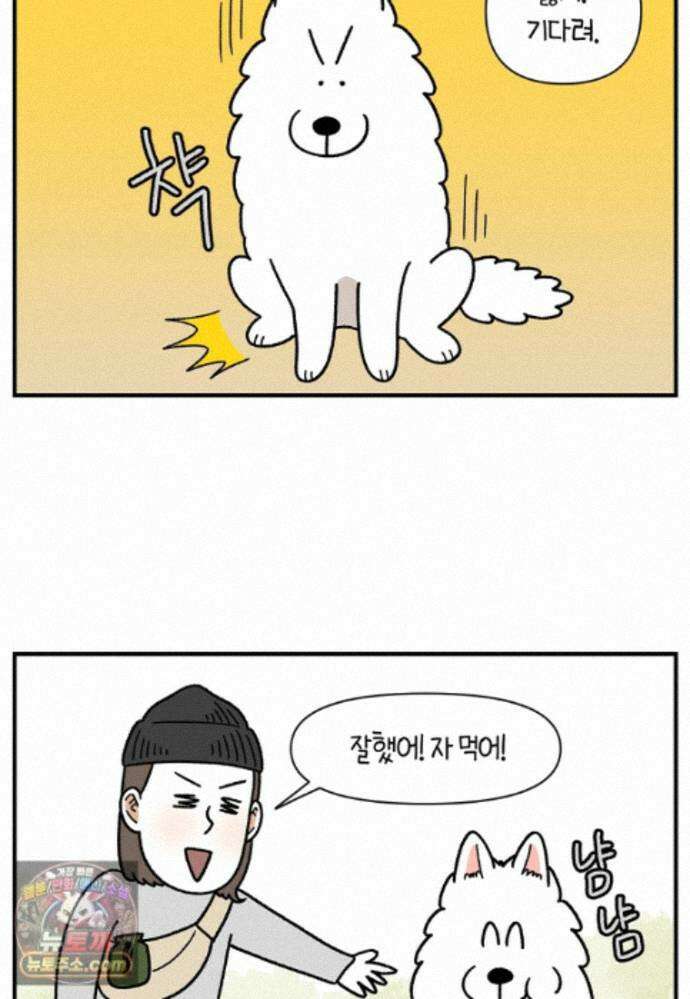 극한견주 시즌2 148화 새로운 산책 훈련 13