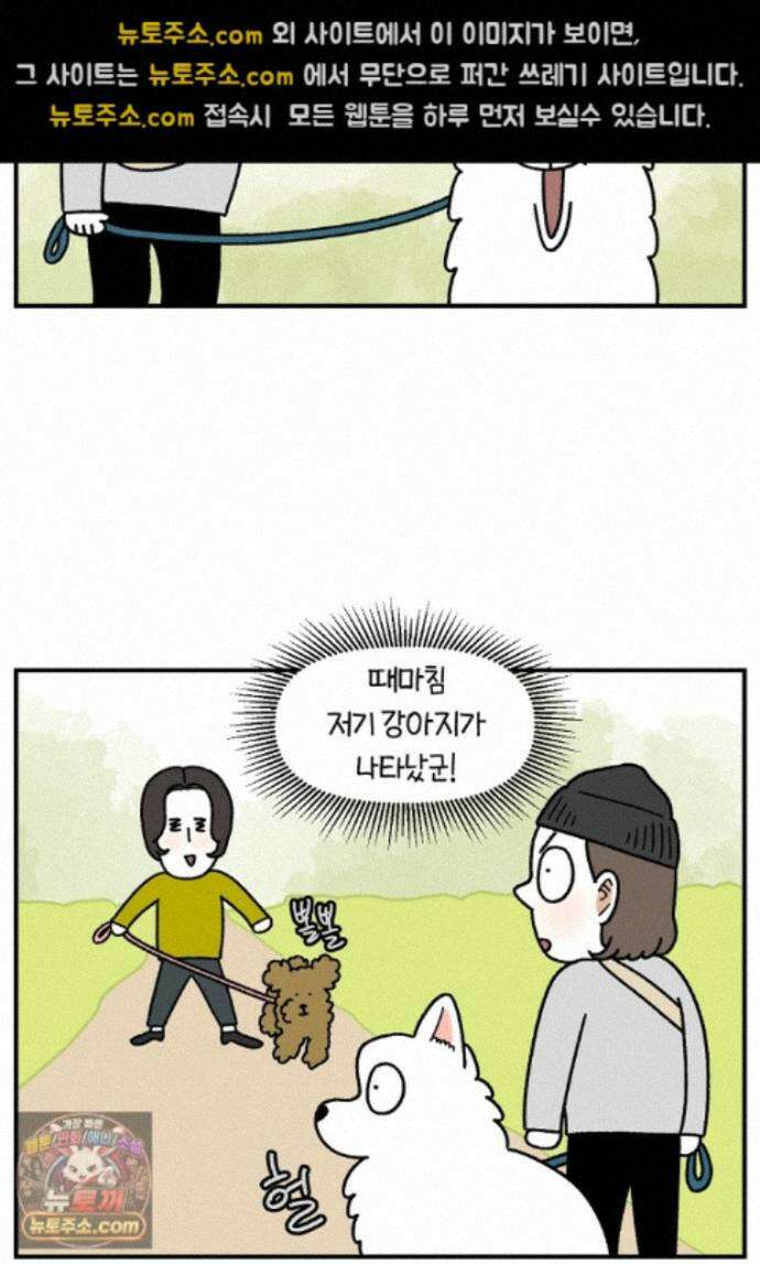 극한견주 시즌2 148화 새로운 산책 훈련 14