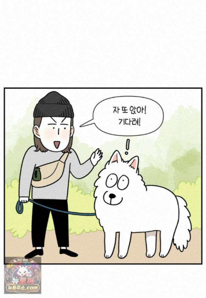 극한견주 시즌2 148화 새로운 산책 훈련 15
