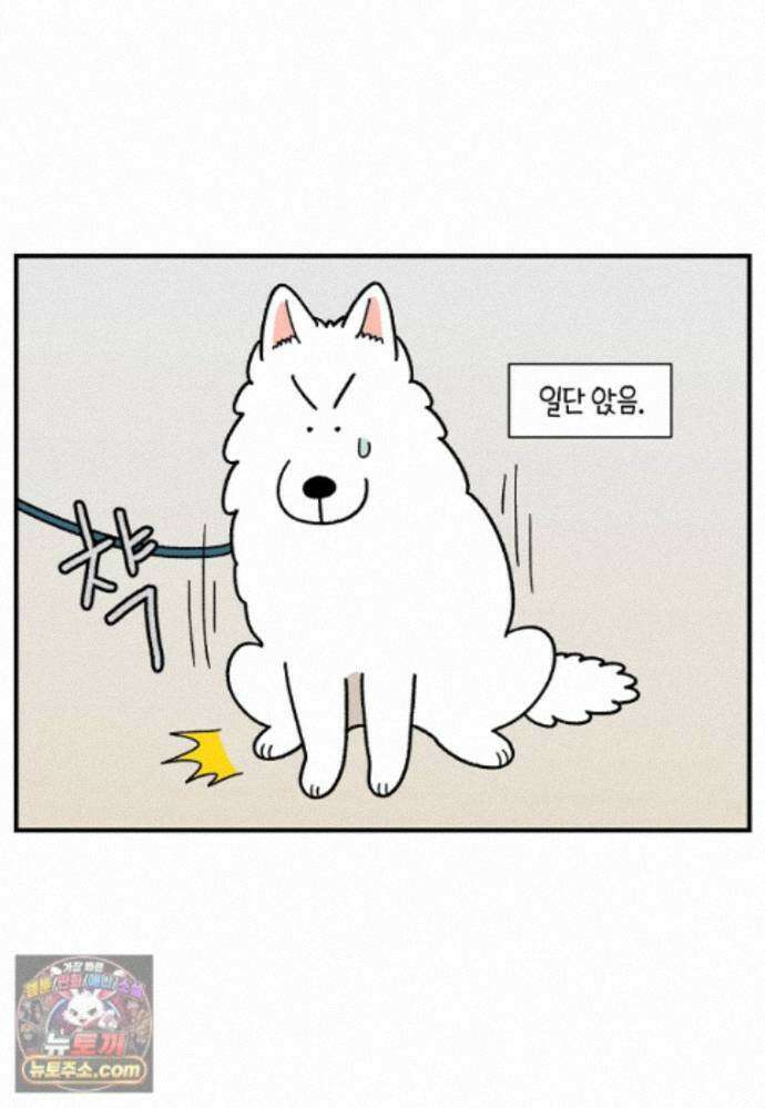극한견주 시즌2 148화 새로운 산책 훈련 16