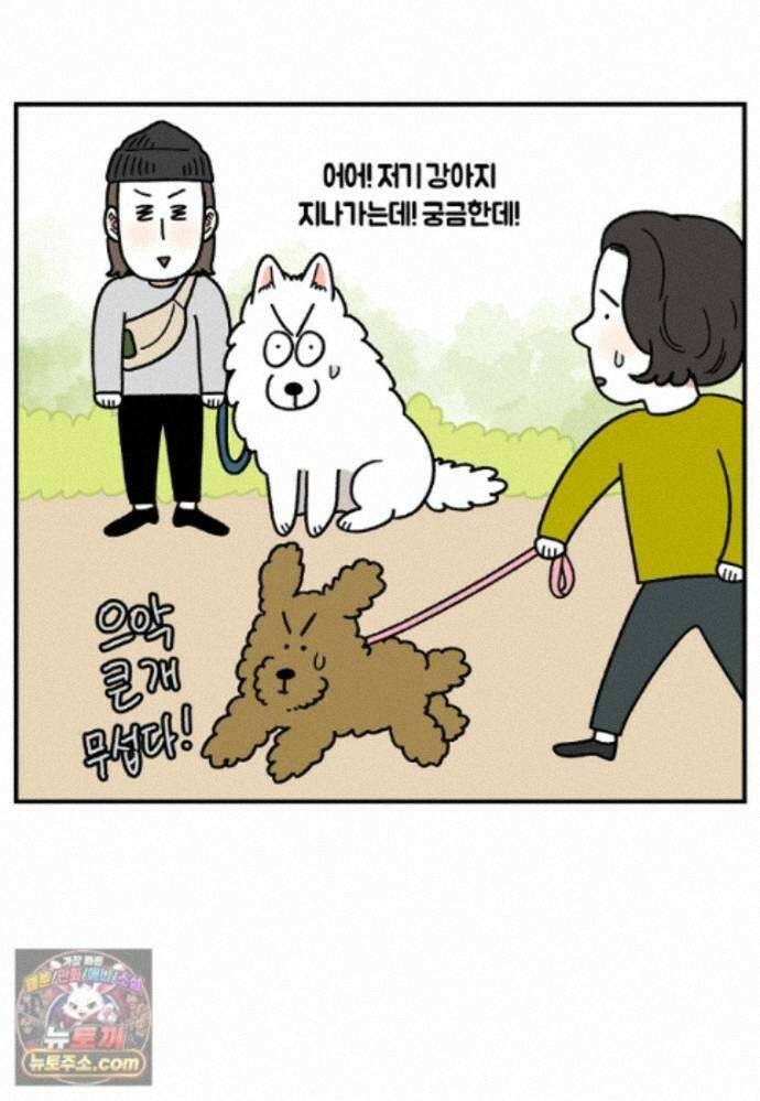 극한견주 시즌2 148화 새로운 산책 훈련 17