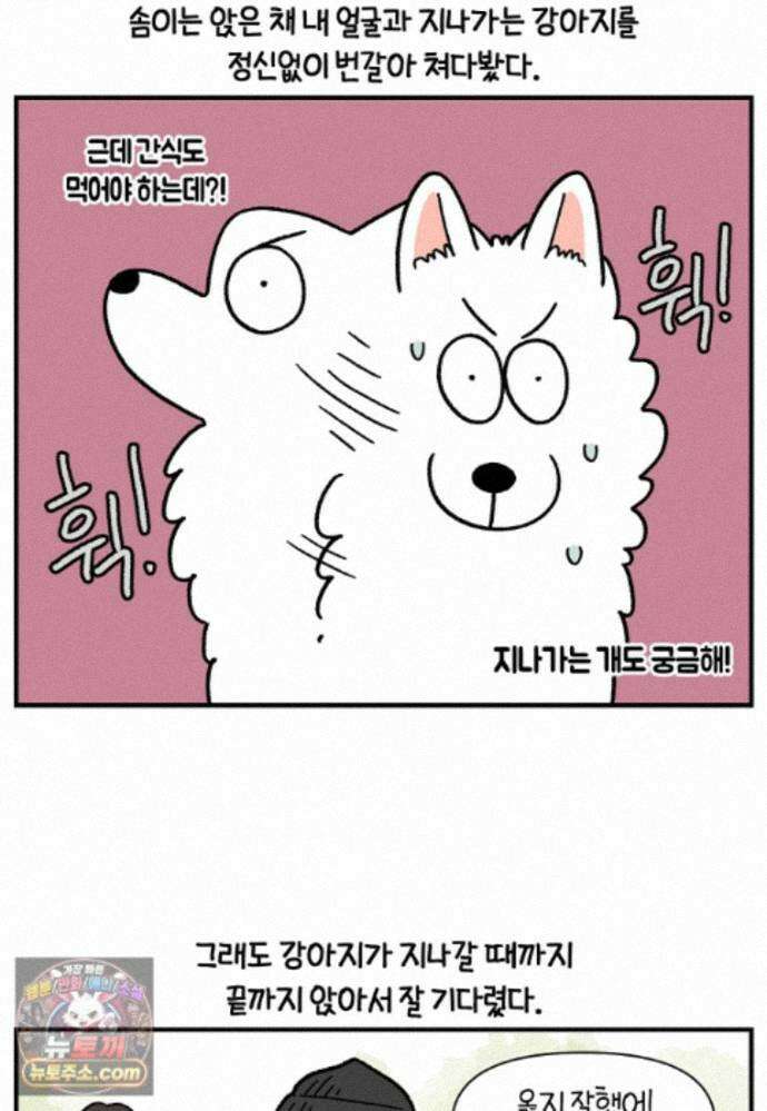 극한견주 시즌2 148화 새로운 산책 훈련 18