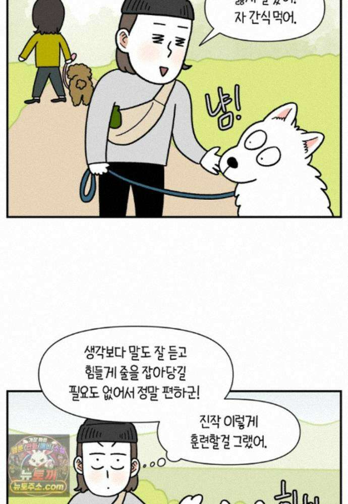 극한견주 시즌2 148화 새로운 산책 훈련 19