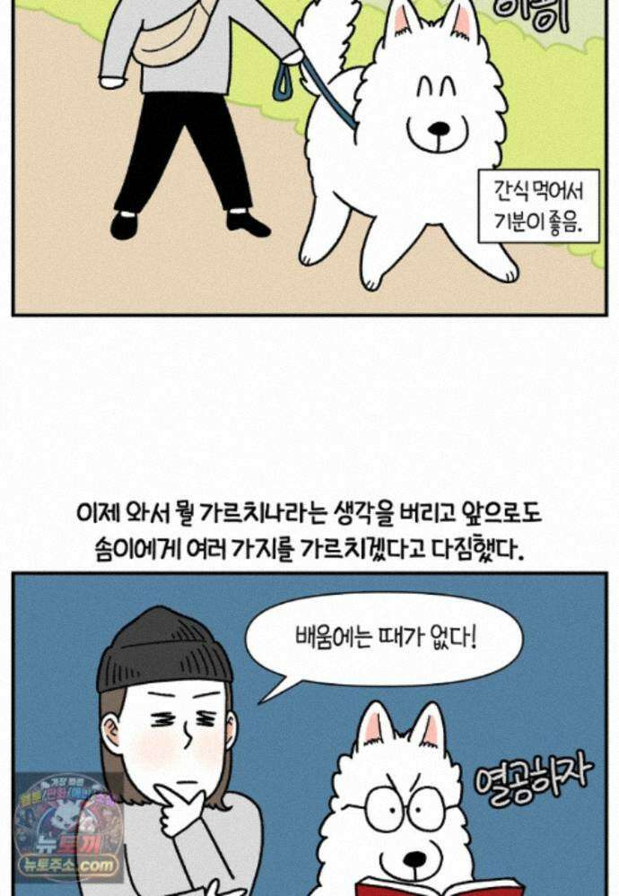 극한견주 시즌2 148화 새로운 산책 훈련 20