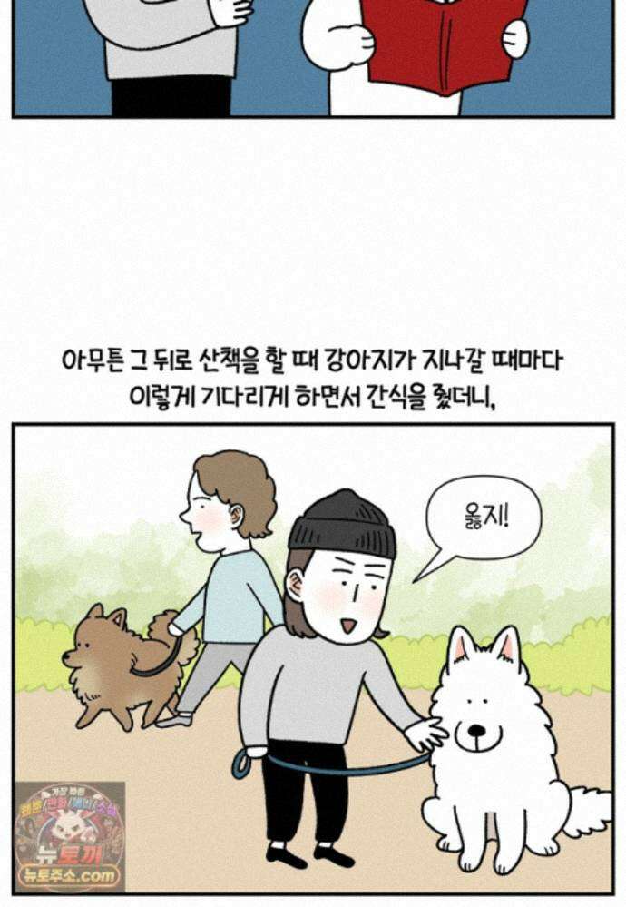 극한견주 시즌2 148화 새로운 산책 훈련 21