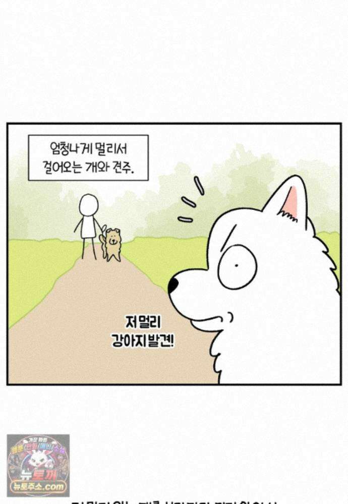 극한견주 시즌2 148화 새로운 산책 훈련 22