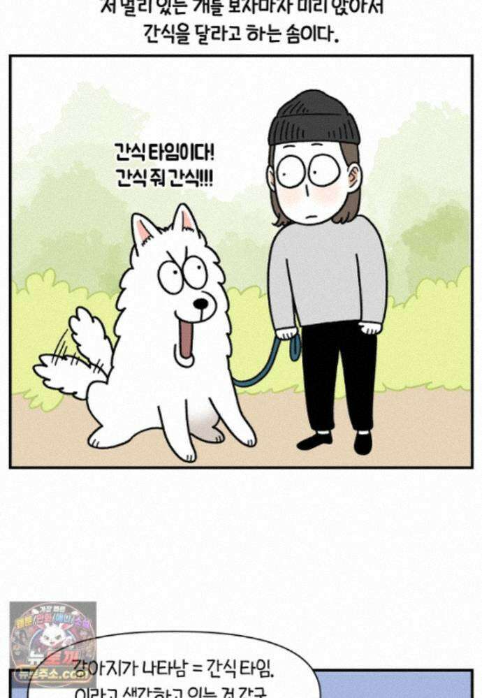 극한견주 시즌2 148화 새로운 산책 훈련 23