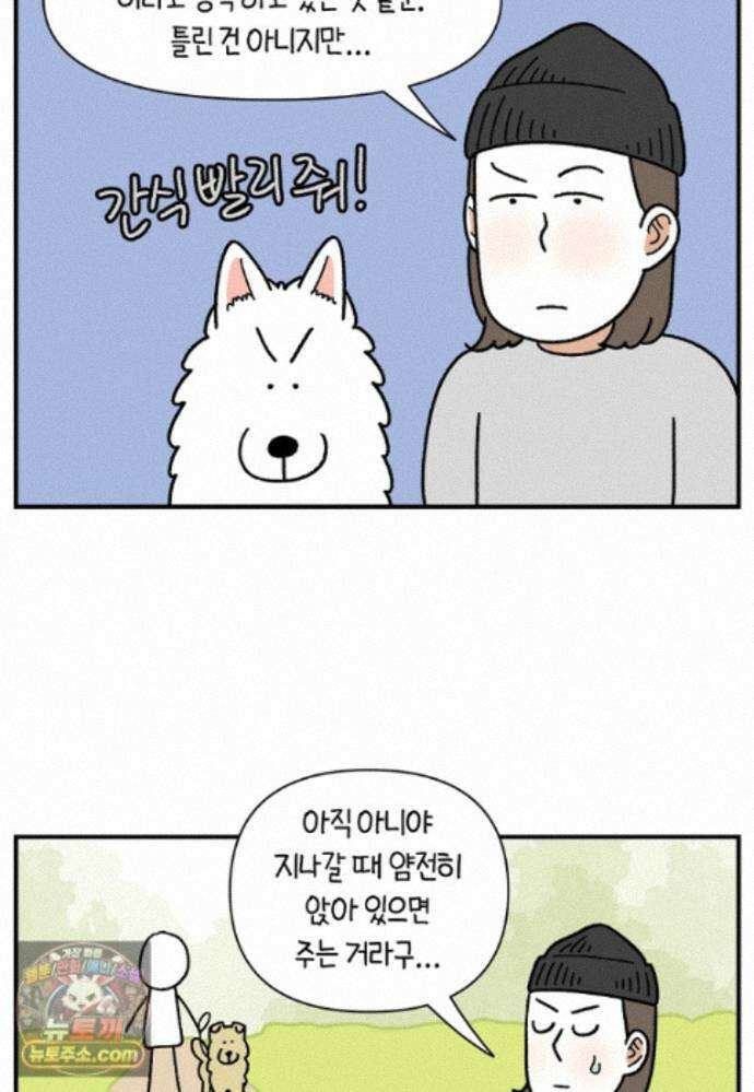 극한견주 시즌2 148화 새로운 산책 훈련 24