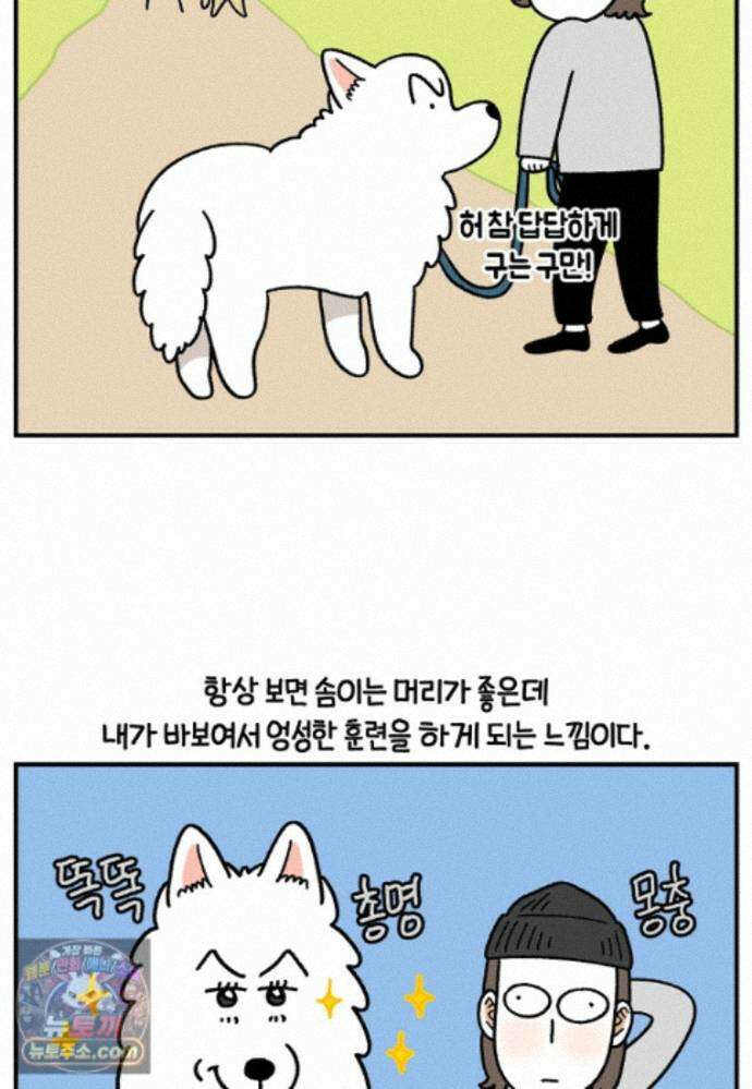 극한견주 시즌2 148화 새로운 산책 훈련 25