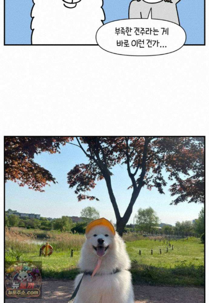 극한견주 시즌2 148화 새로운 산책 훈련 26