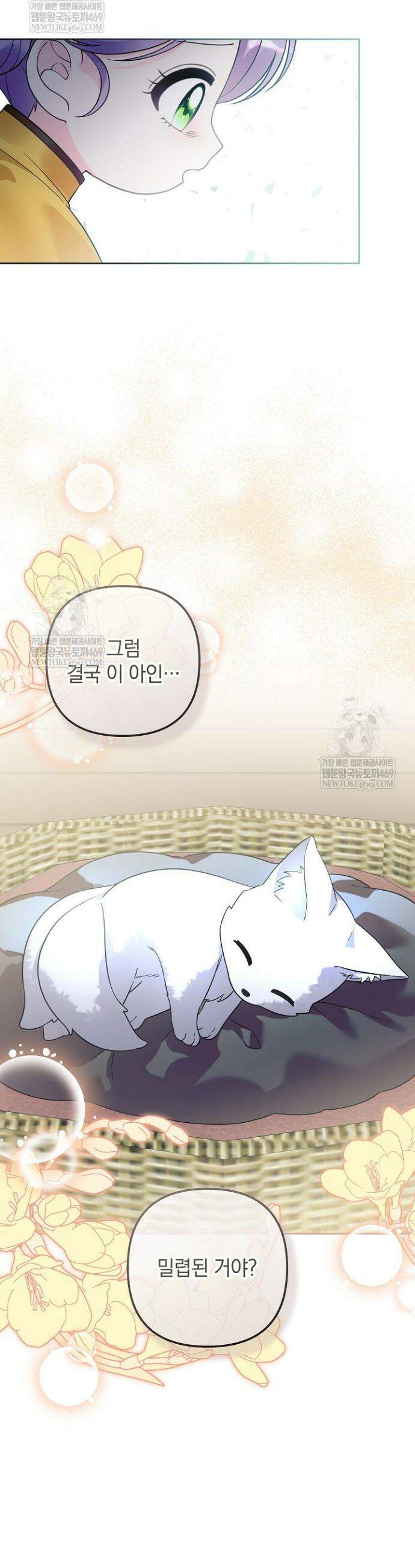 시한부 아기 의원이 천재인 걸 안 숨김 41화 3