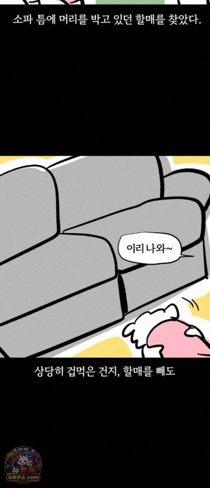 개집사 212화 우르릉 쾅 9