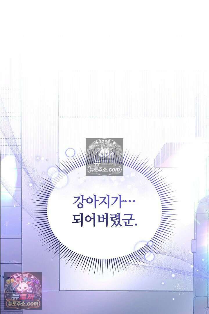 내 반려동물이 악당이 되었을 때 4화 121
