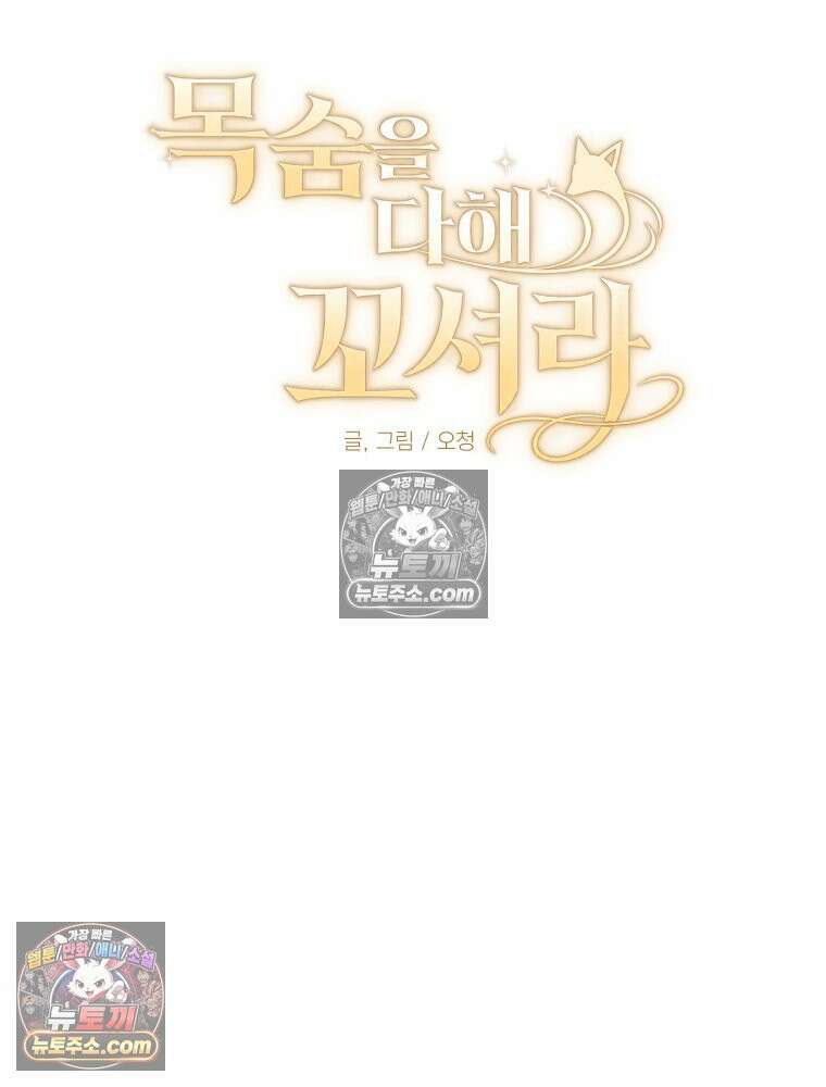 목숨을 다해 꼬셔라 39화 13