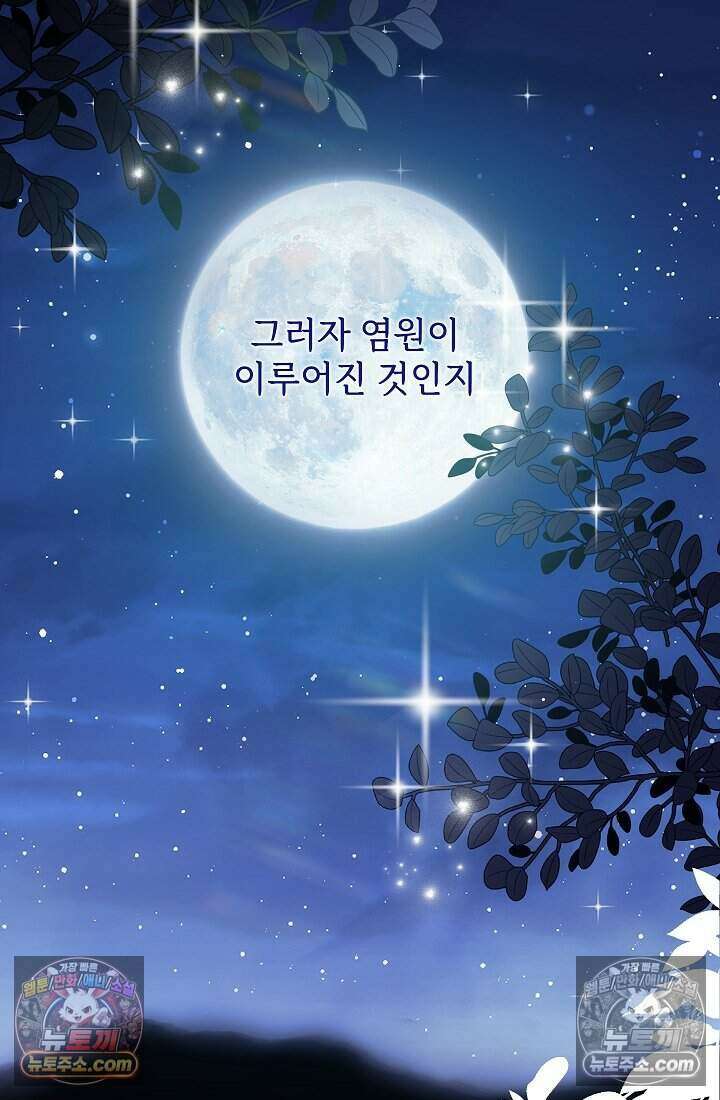 고요한 밤, 대공부인이 사라졌다 014 79