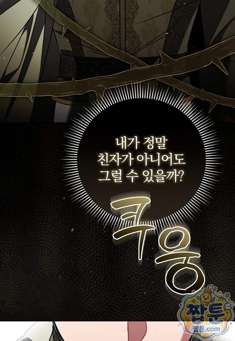 알브레히트의 진주 37화 20