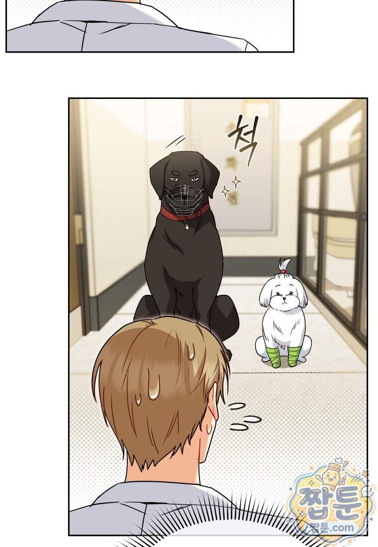 수의사님! 안녕하세요? 145화 13