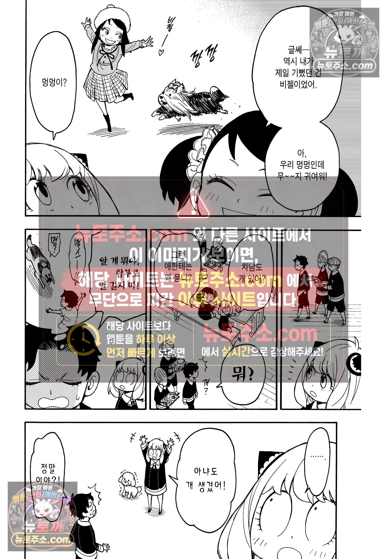 스파이 패밀리 MISSION : 17 13