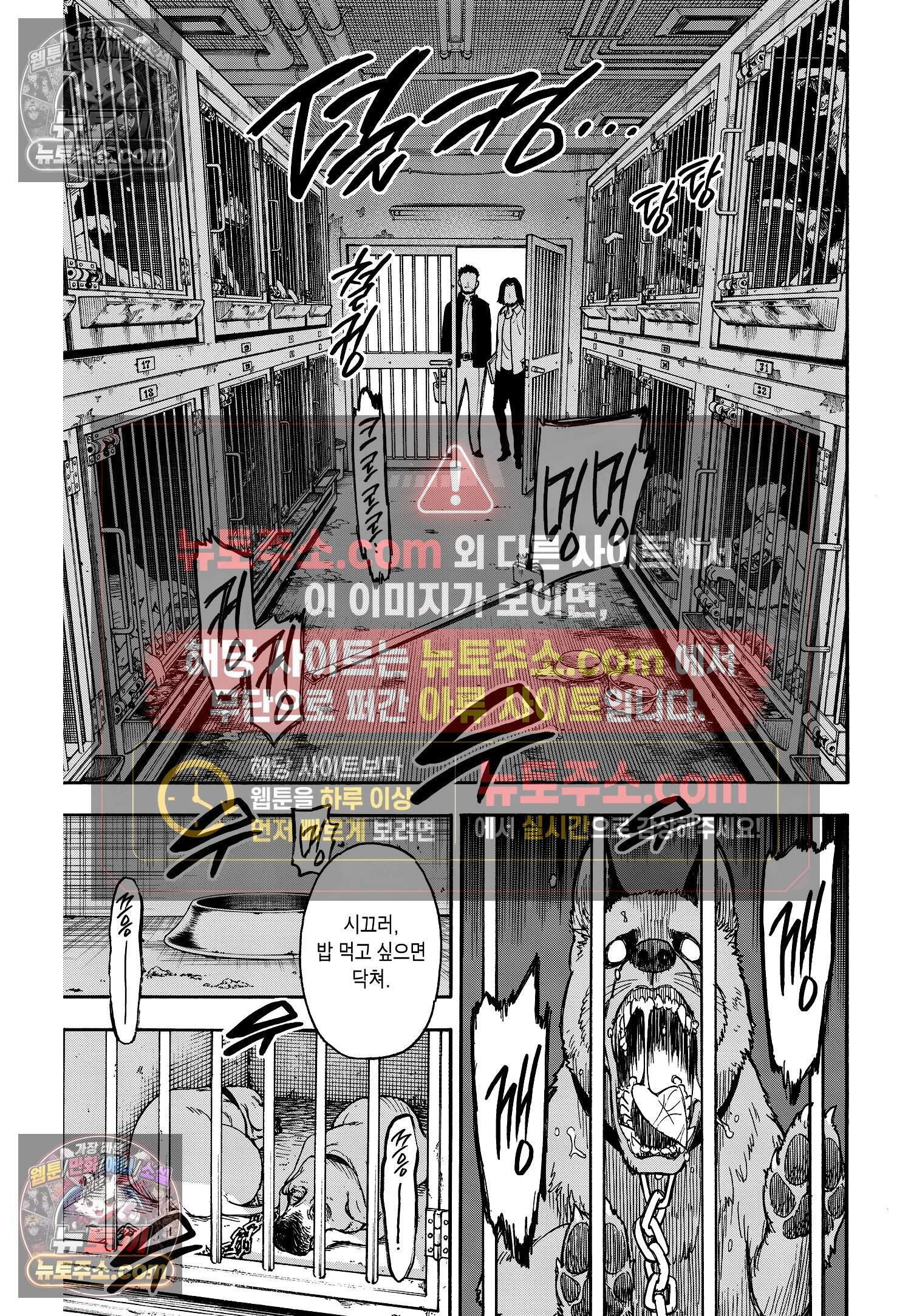 스파이 패밀리 MISSION : 17 18