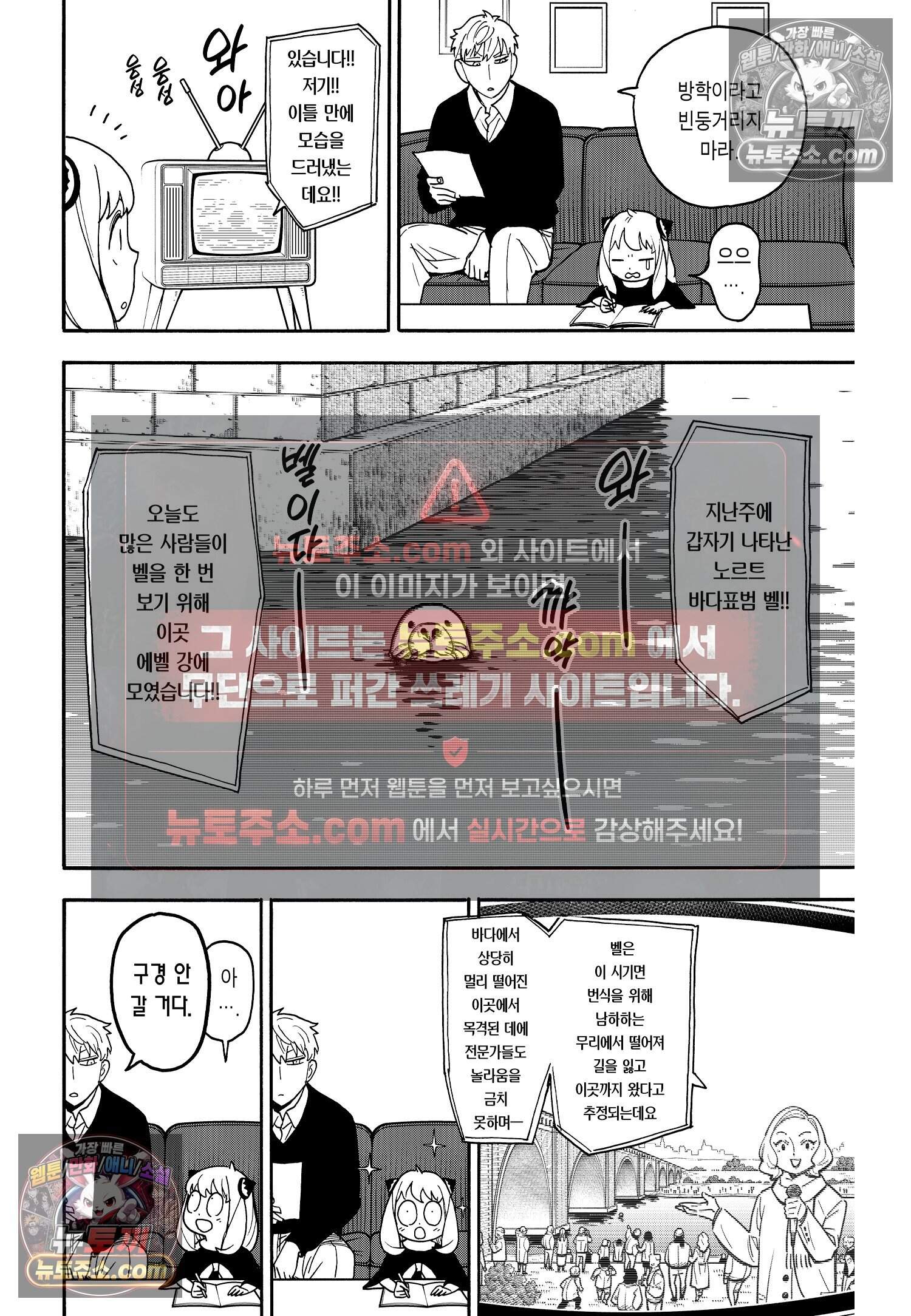 스파이 패밀리 MISSION : 103 3