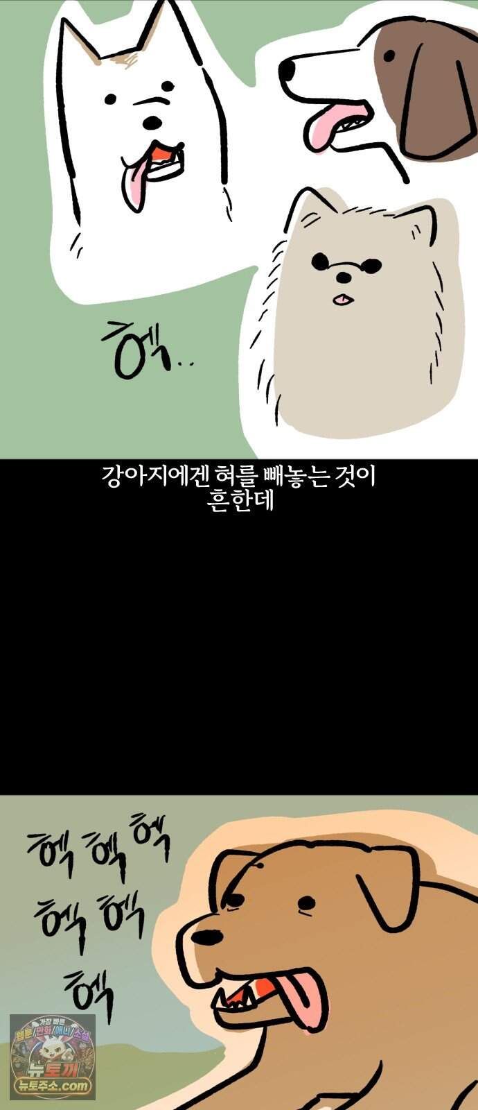 개집사 220화 메롱 2
