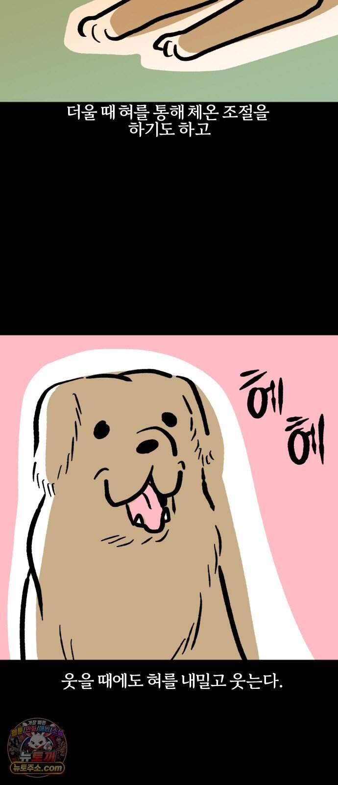 개집사 220화 메롱 3