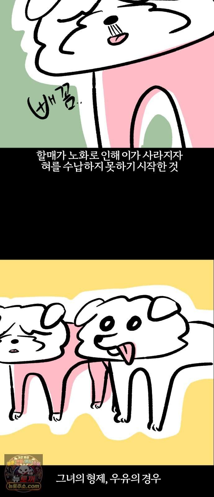 개집사 220화 메롱 12