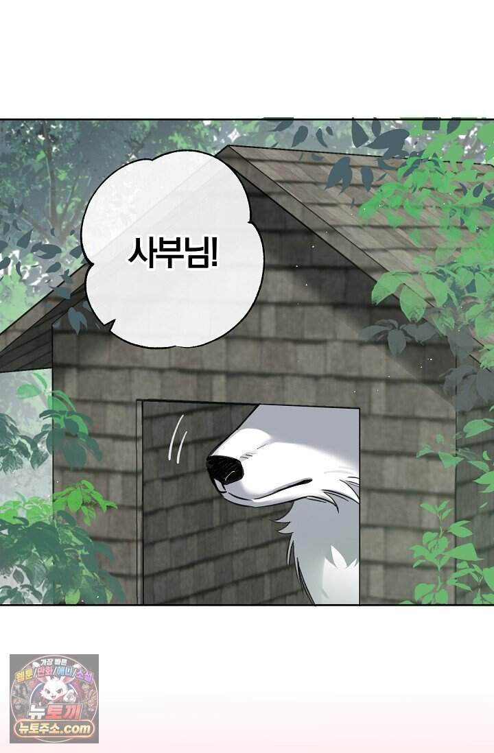 늑대가 날 책임지겠대 34화 5