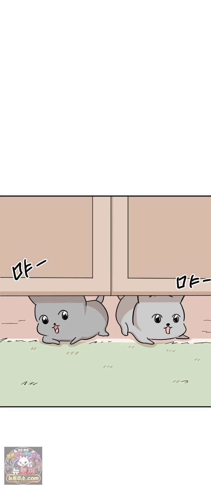 오리짱! 47화 우리 집에 오기까지(6) 13