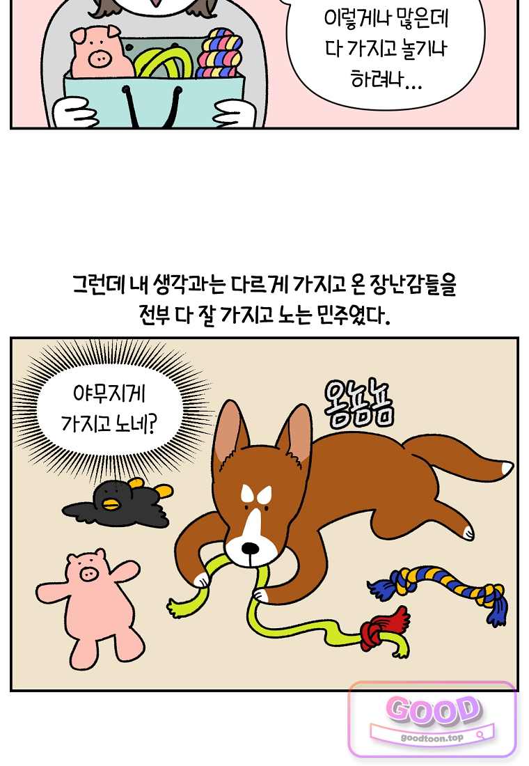 극한견주 시즌2 159화 3