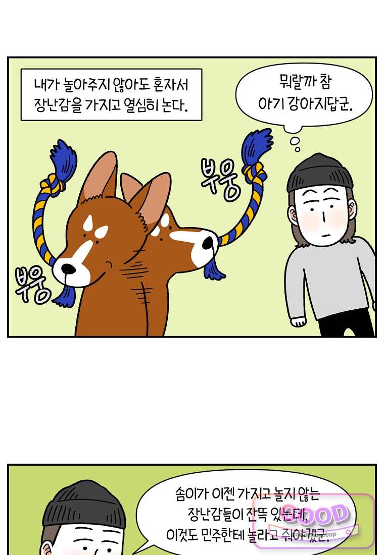 극한견주 시즌2 159화 4
