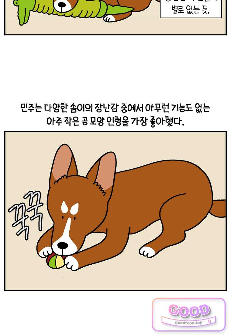 극한견주 시즌2 159화 6