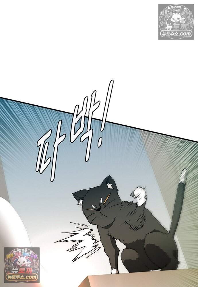 은퇴한 킬러는 힐링하고 싶다 13화 84