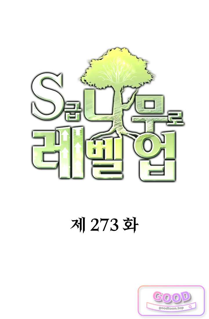 S급 나무로 레벨업 273화 1
