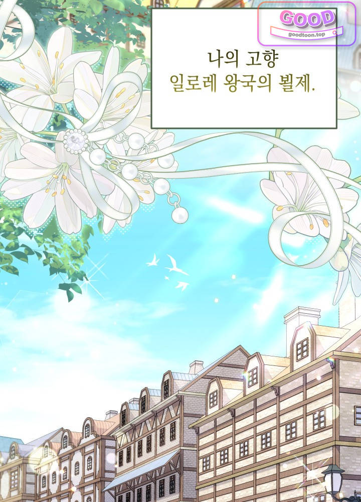 바이올렛 체로타의 졸속 결혼 1화 3