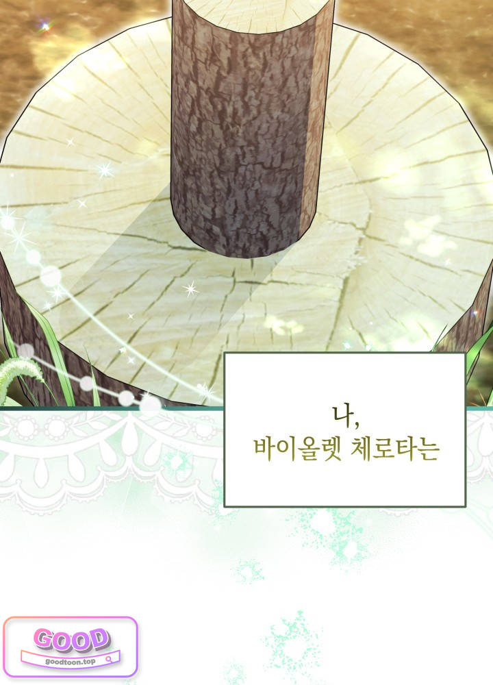 바이올렛 체로타의 졸속 결혼 1화 5
