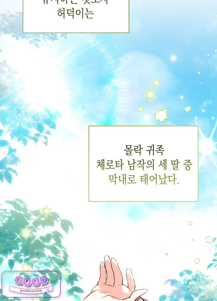 바이올렛 체로타의 졸속 결혼 1화 14