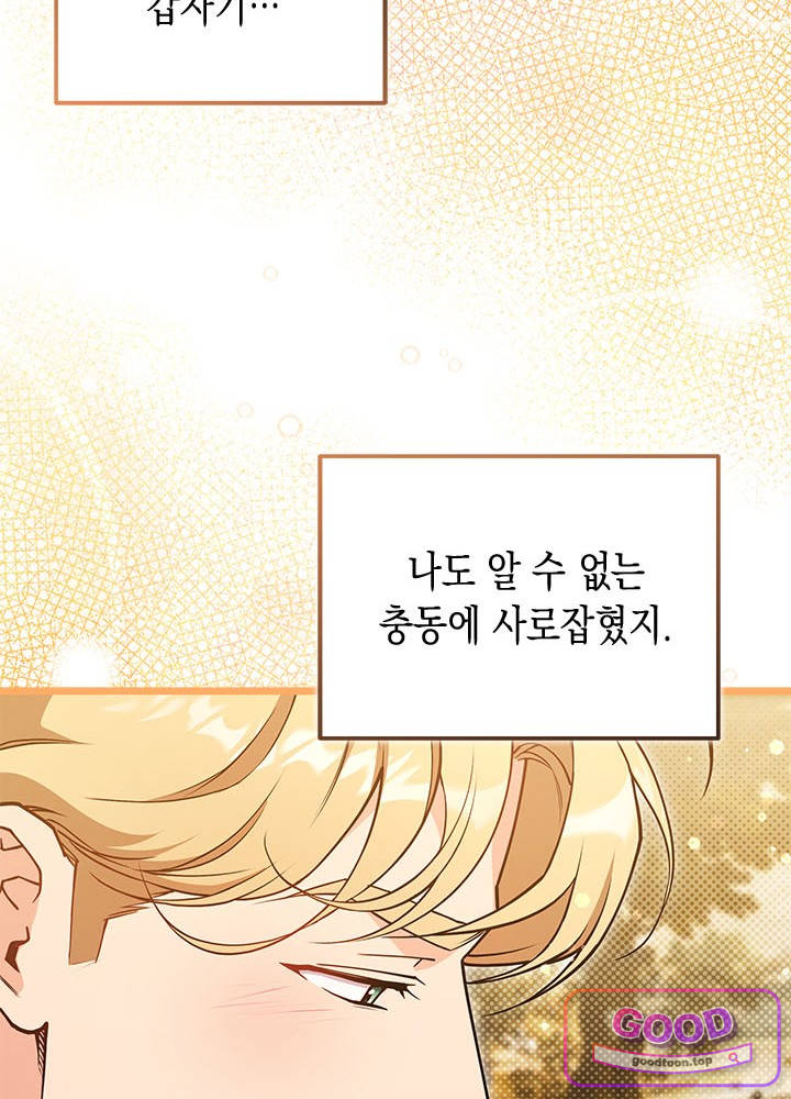 바이올렛 체로타의 졸속 결혼 28화 8