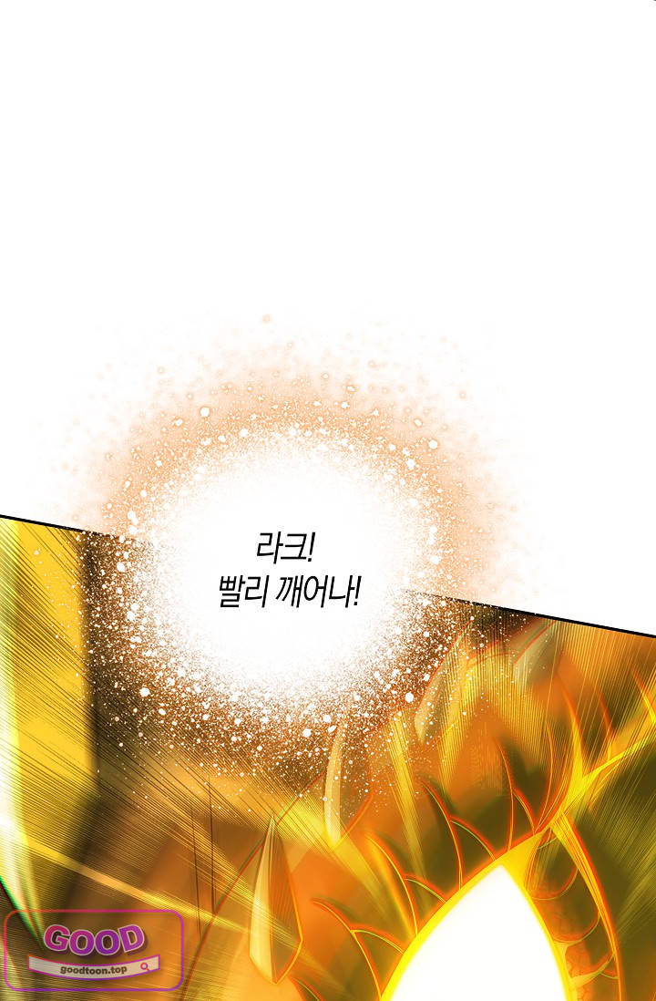 사신 영웅전: 바보 마법사 영웅이 되다 261화 사신영웅전 8