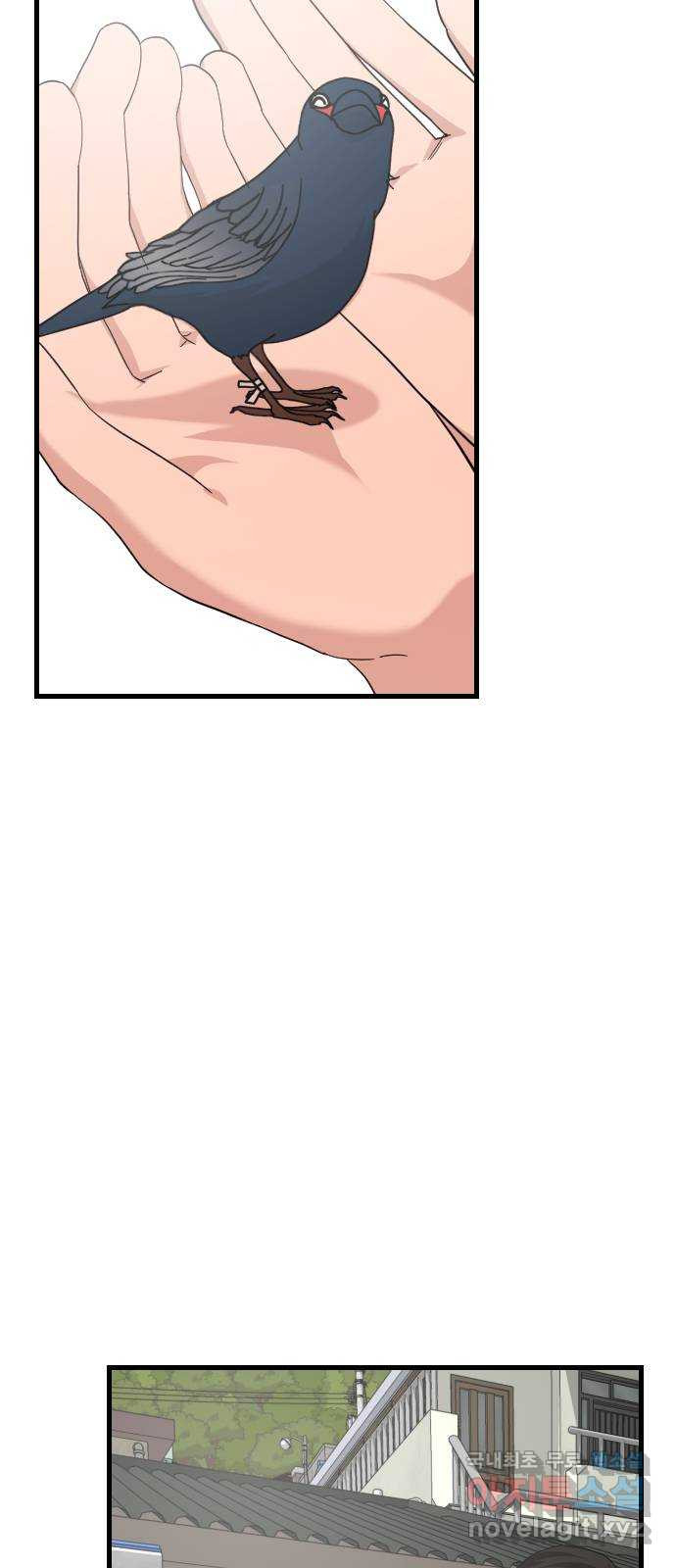 주작연애 59화. 다가가지 말걸 2